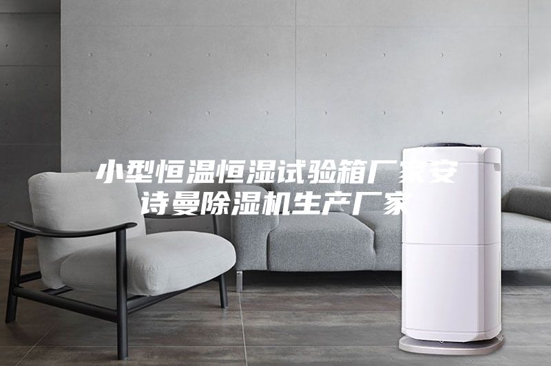 小型恒温恒湿试验箱厂家安诗曼除湿机生产厂家