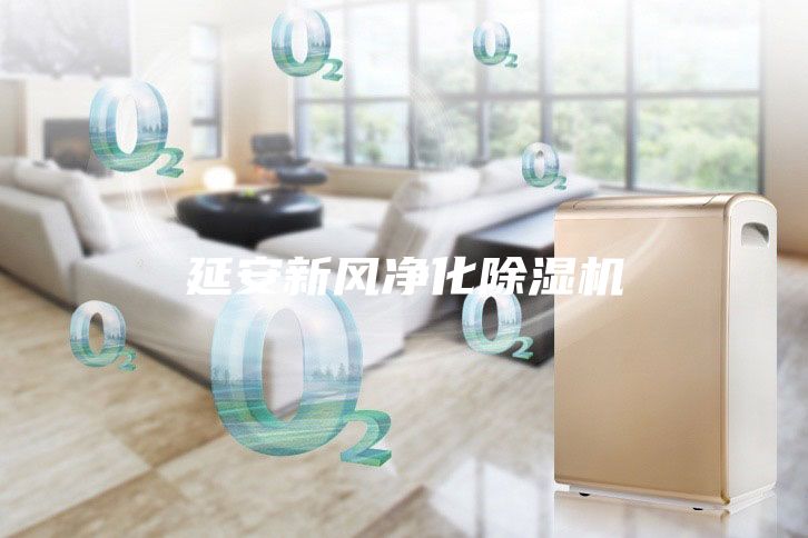 延安新风净化除湿机