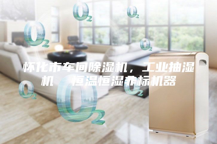 怀化市车间除湿机，工业抽湿机  恒温恒湿非标机器