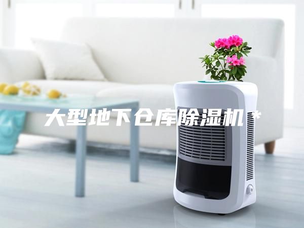 大型地下仓库除湿机＊