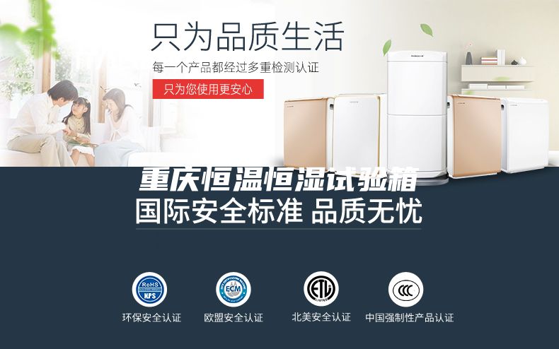 重庆恒温恒湿试验箱