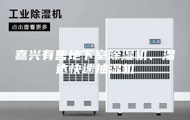 嘉兴有售地下室除湿机、湿达快速抽湿机