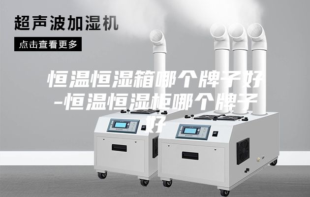 恒温恒湿箱哪个牌子好-恒温恒湿柜哪个牌子好