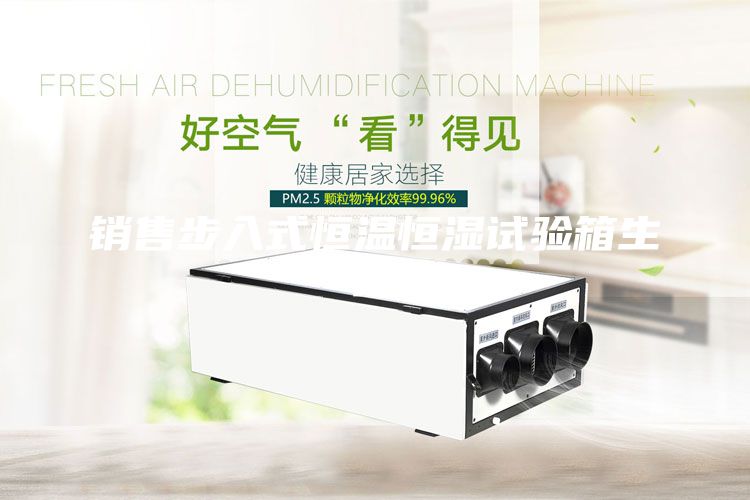 销售步入式恒温恒湿试验箱生产