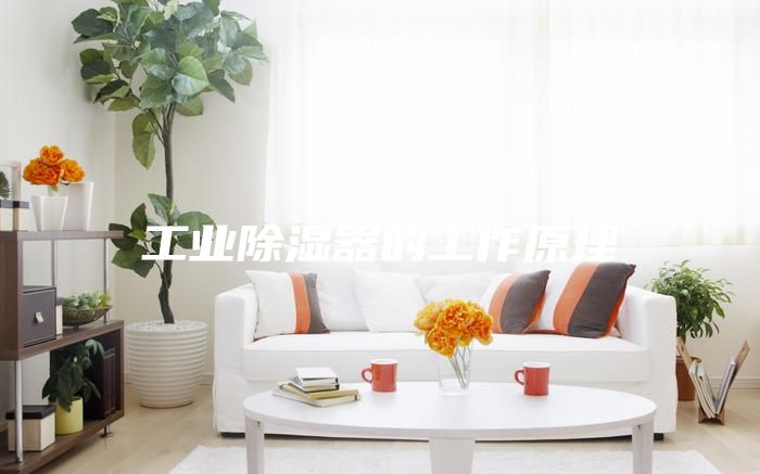 工业除湿器的工作原理