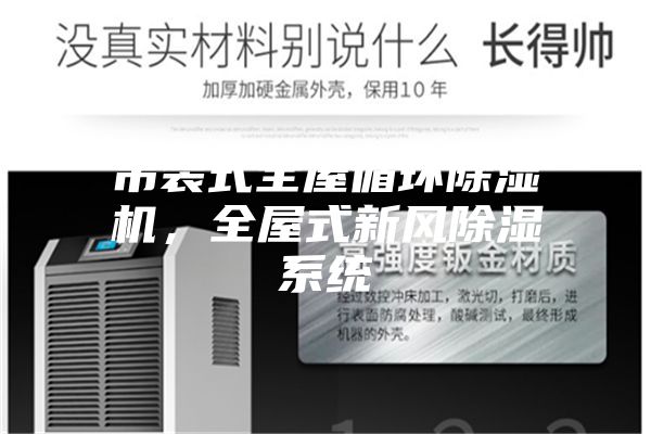 吊装式全屋循环除湿机，全屋式新风除湿系统