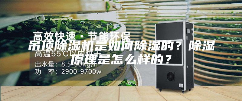 吊顶除湿机是如何除湿的？除湿原理是怎么样的？
