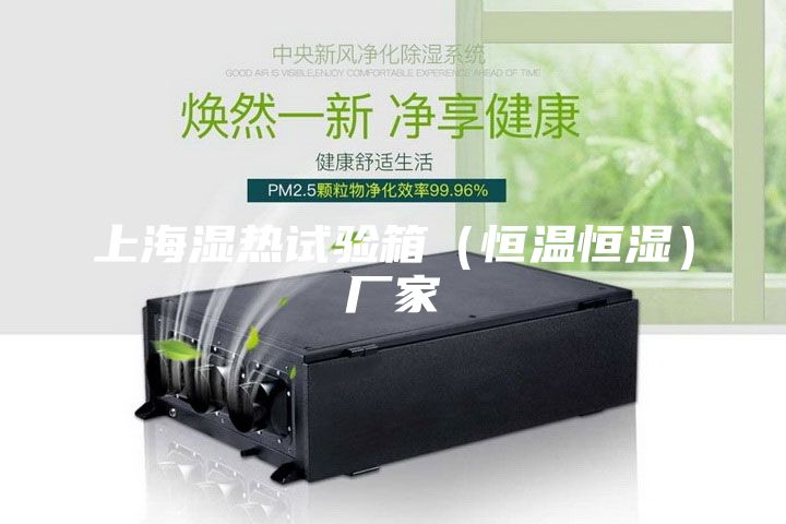 上海湿热试验箱（恒温恒湿）厂家