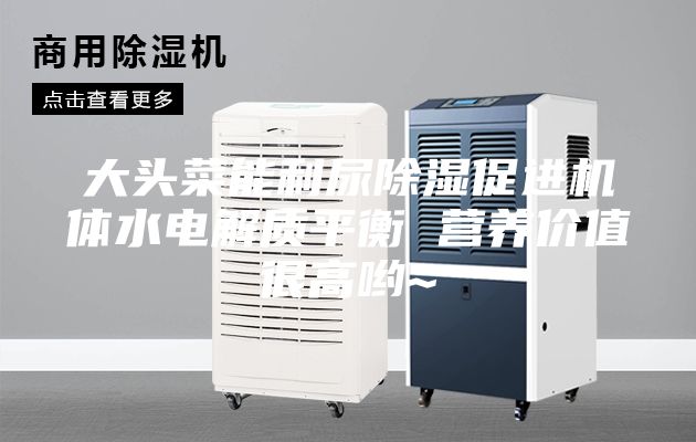 大头菜能利尿除湿促进机体水电解质平衡 营养价值很高哟~