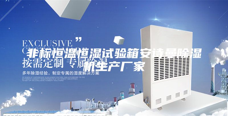 非标恒温恒湿试验箱安诗曼除湿机生产厂家
