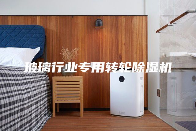 玻璃行业专用转轮除湿机