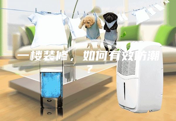一楼装修，如何有效防潮？