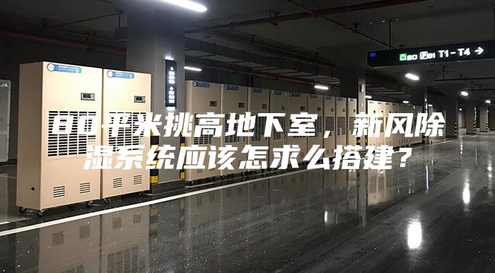 80平米挑高地下室，新风除湿系统应该怎求么搭建？