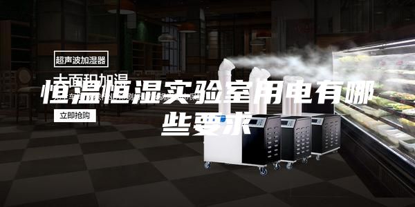 恒温恒湿实验室用电有哪些要求