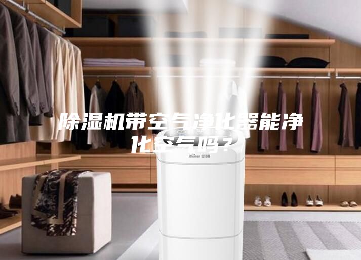 除湿机带空气净化器能净化空气吗？