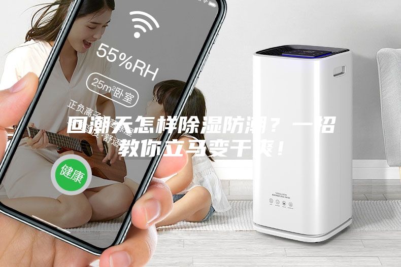 回潮天怎样除湿防潮？一招教你立马变干爽！