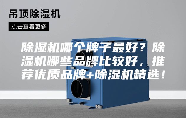除湿机哪个牌子最好？除湿机哪些品牌比较好，推荐优质品牌+除湿机精选！