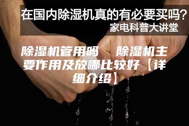 除湿机管用吗  除湿机主要作用及放哪比较好【详细介绍】