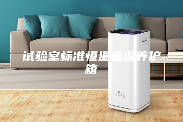 试验室标准恒温恒湿养护箱