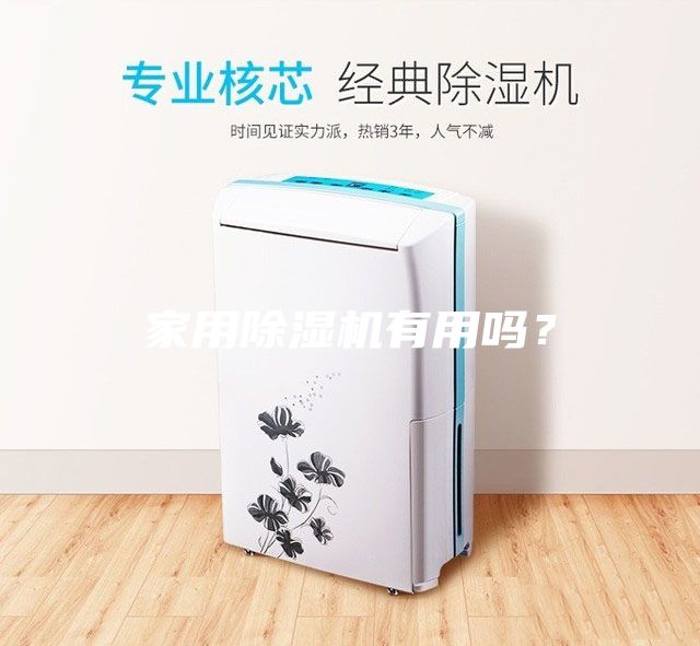 家用除湿机有用吗？
