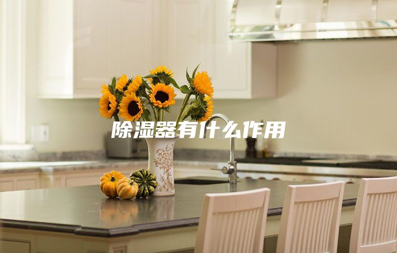除湿器有什么作用