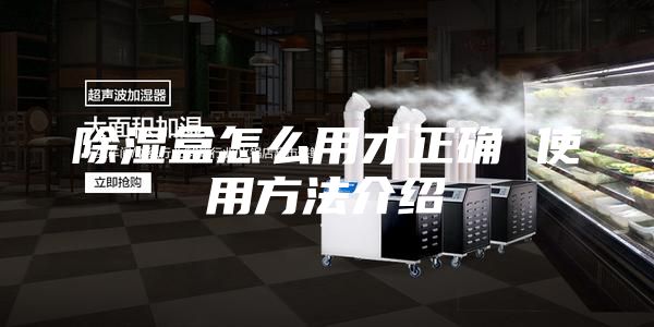 除湿盒怎么用才正确 使用方法介绍