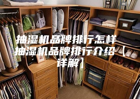 抽湿机品牌排行怎样 抽湿机品牌排行介绍【详解】
