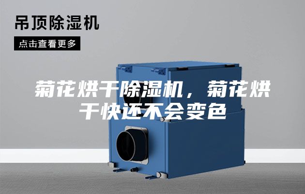 菊花烘干除湿机，菊花烘干快还不会变色