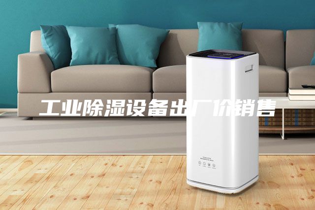 工业除湿设备出厂价销售