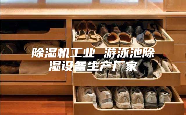 除湿机工业 游泳池除湿设备生产厂家