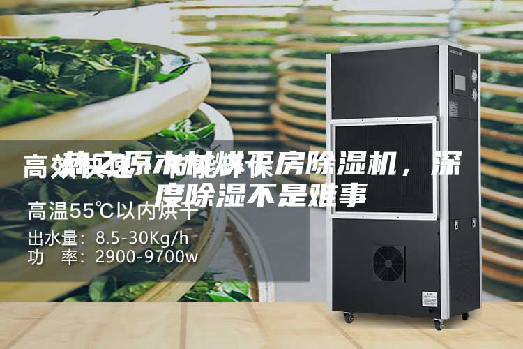 热之原木材烘干房除湿机，深度除湿不是难事