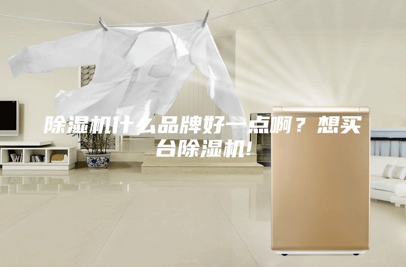 除湿机什么品牌好一点啊？想买台除湿机!