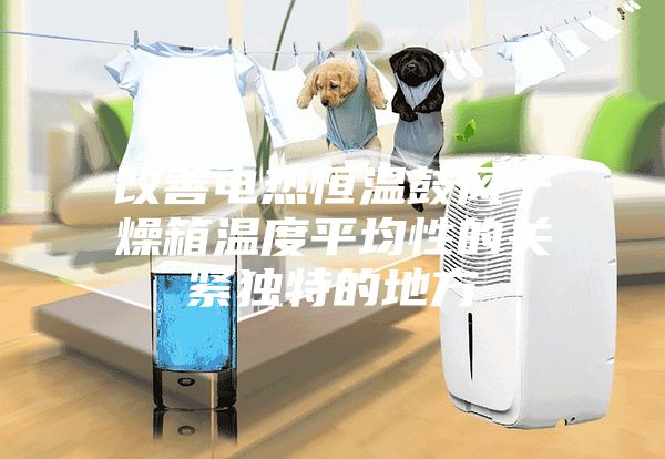 改善电热恒温鼓风干燥箱温度平均性的关紧独特的地方