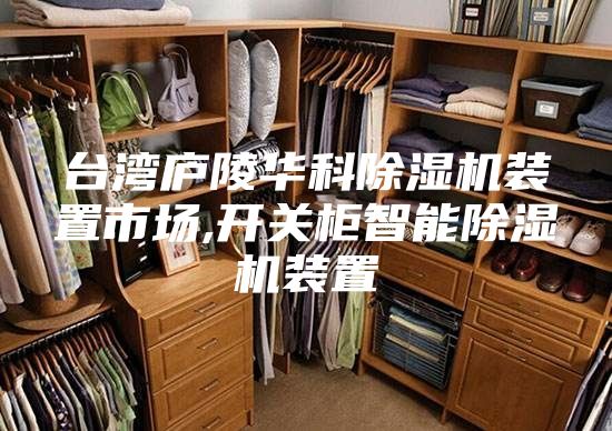台湾庐陵华科除湿机装置市场,开关柜智能除湿机装置