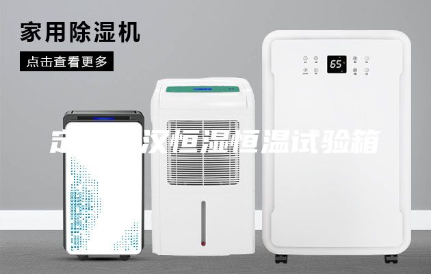 定制武汉恒湿恒温试验箱