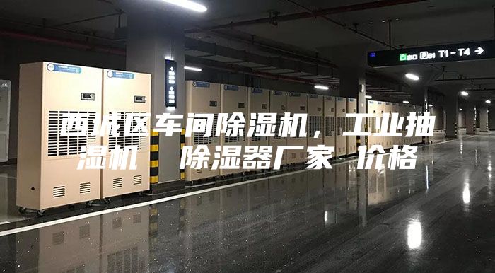 西城区车间除湿机，工业抽湿机  除湿器厂家 价格