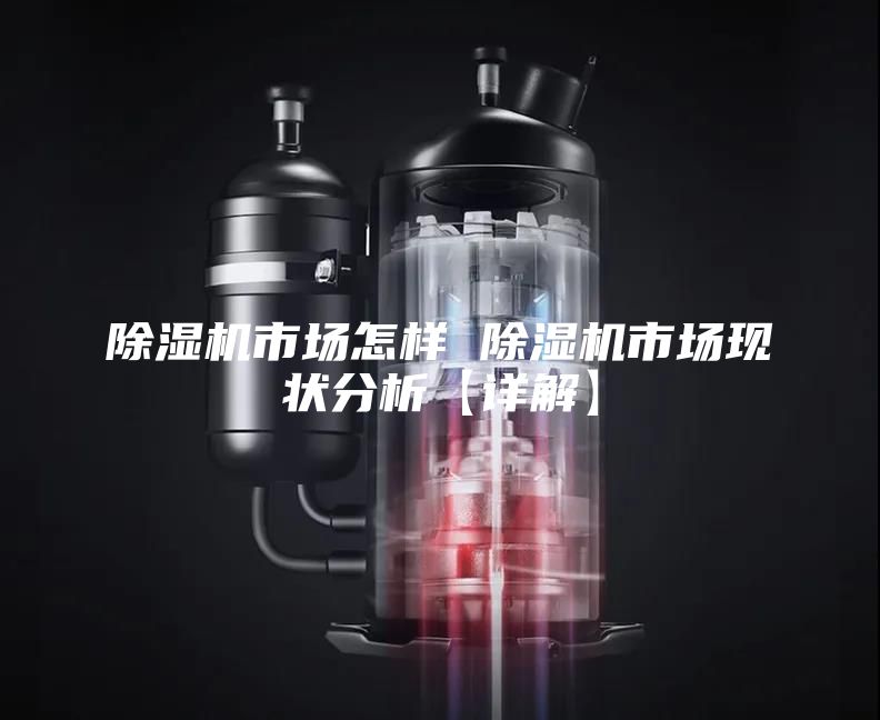 除湿机市场怎样 除湿机市场现状分析【详解】