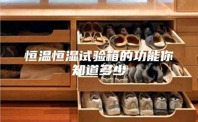 恒温恒湿试验箱的功能你知道多少