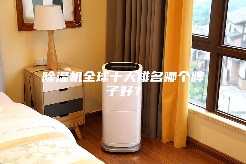 除湿机全球十大排名哪个牌子好？