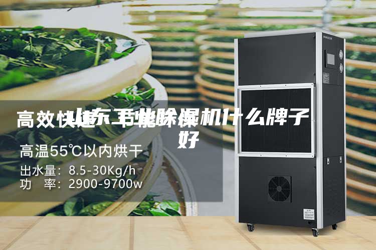 山东工业除湿机什么牌子好
