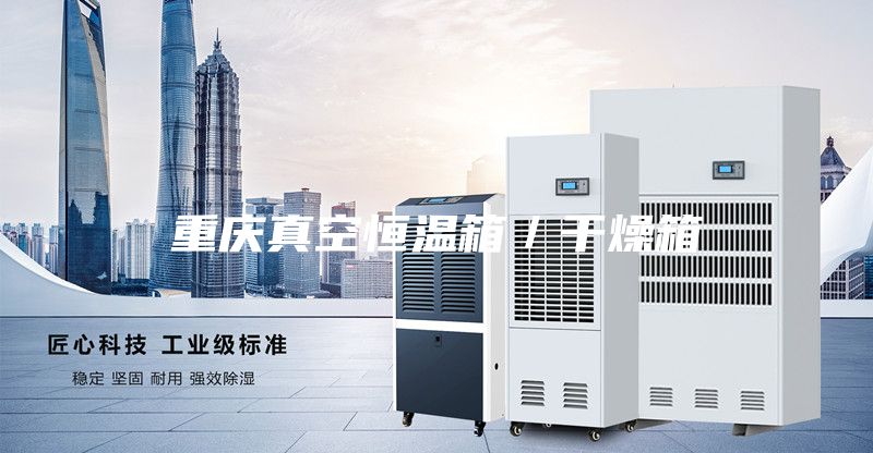 重庆真空恒温箱／干燥箱