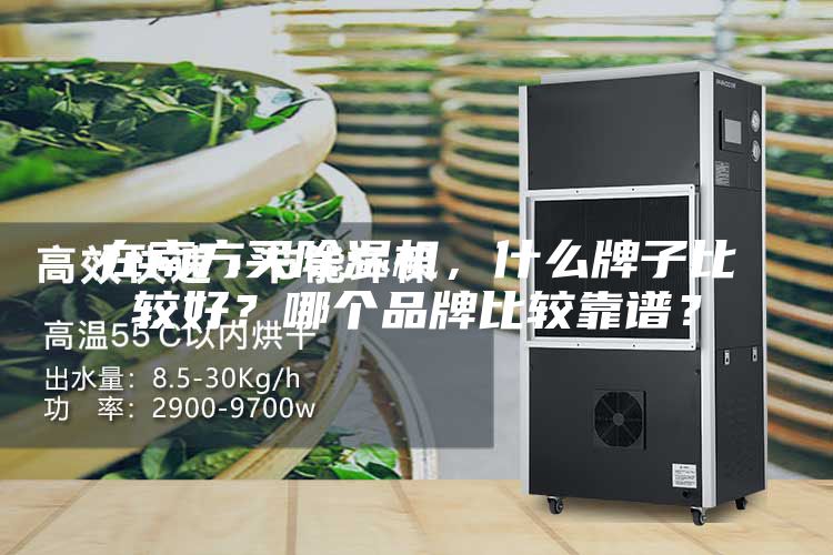 在南方买除湿机，什么牌子比较好？哪个品牌比较靠谱？