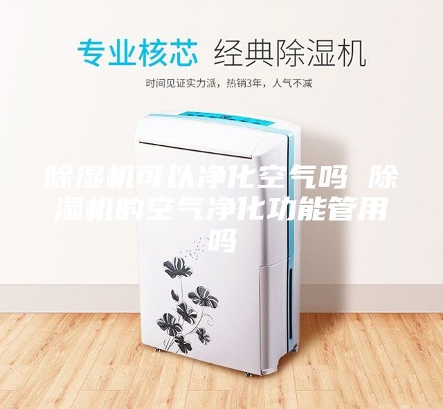 除湿机可以净化空气吗 除湿机的空气净化功能管用吗