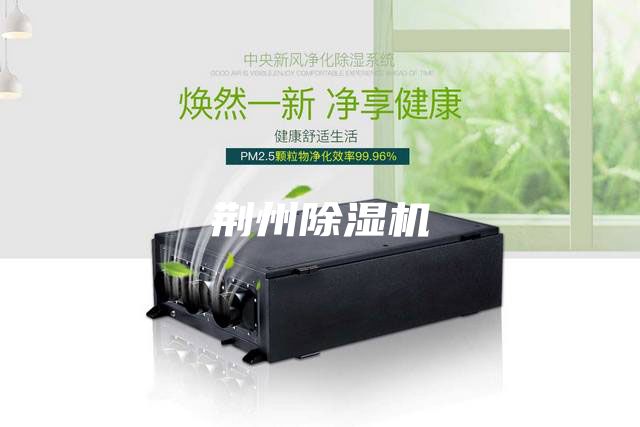 荆州除湿机
