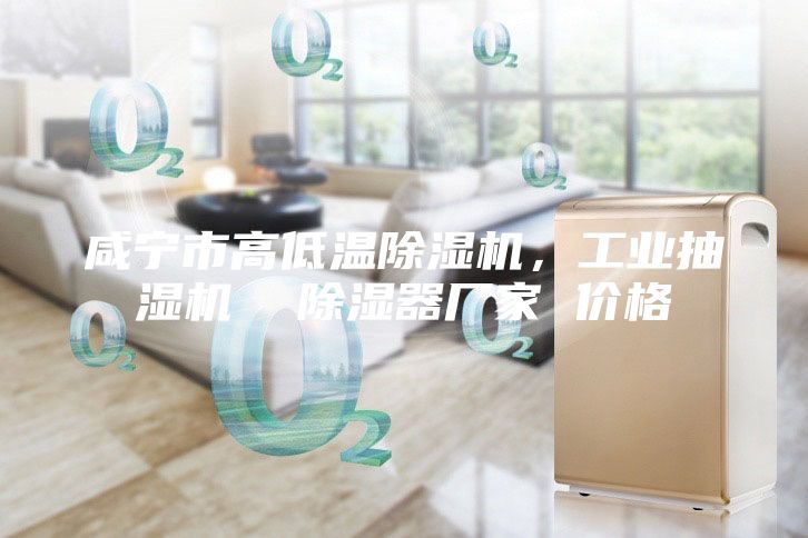 咸宁市高低温除湿机，工业抽湿机  除湿器厂家 价格