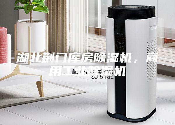湖北荆门库房除湿机，商用工业除湿机