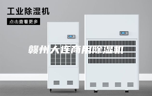 赣州大连商用除湿机