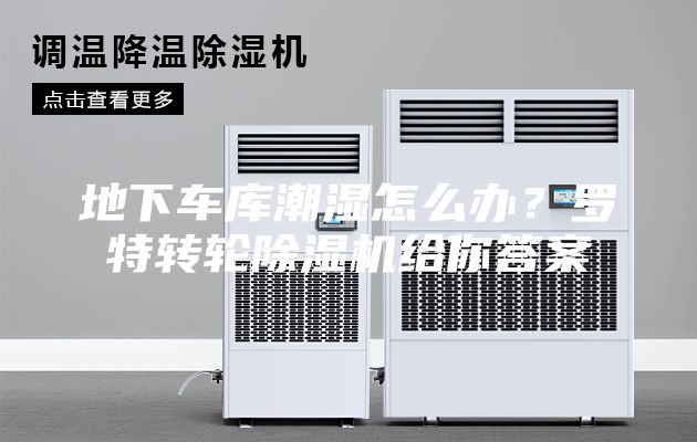 地下车库潮湿怎么办？罗特转轮除湿机给你答案