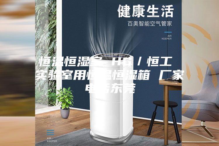 恒温恒湿室 HG／恒工 实验室用恒温恒湿箱 厂家电话东莞