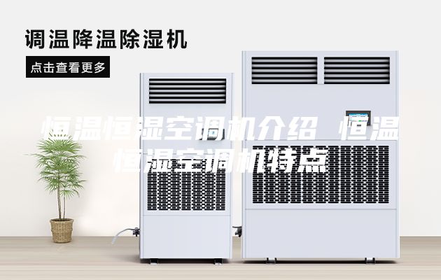 恒温恒湿空调机介绍 恒温恒湿空调机特点